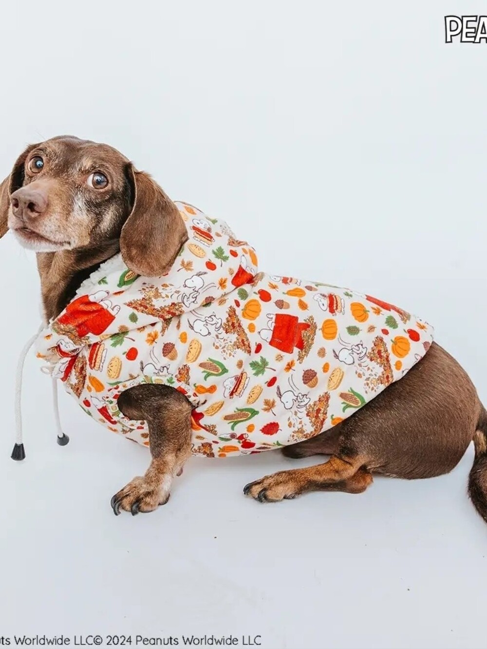 Sassy Woof Peanuts Fall Harvest Print Reversible Dog Hoodie - New with Tags
